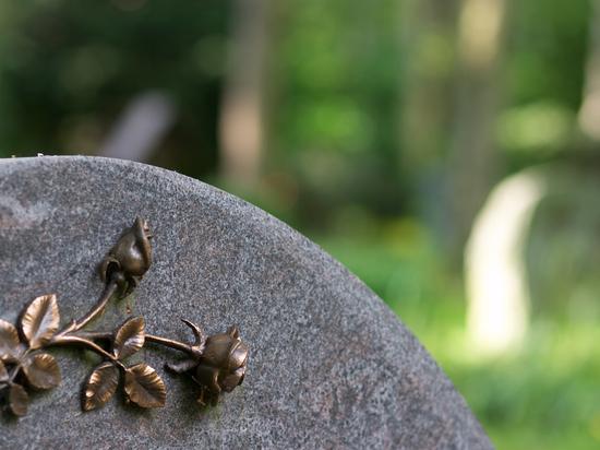 Bronze-Rosenornament auf einer grauen Grabsteinkante, unscharfer Hintergrund mit grünem Waldboden.